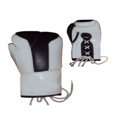 Boxing Gloves Professional