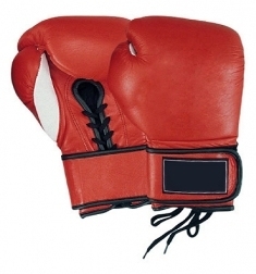 Boxing Gloves Professional